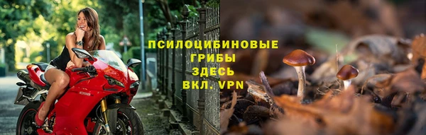 сатива Нея