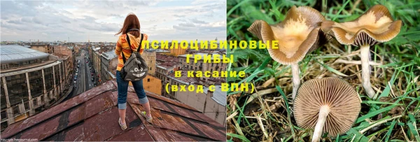 гидропоника Абаза